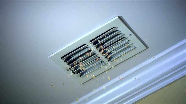 Best Local Air Duct Cleaning Services  in Doniphan, MO